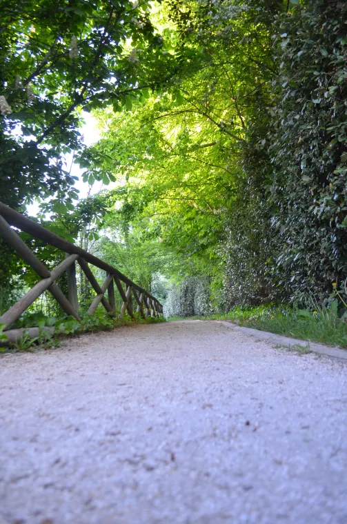 Paseo junto al Duero, en Soria